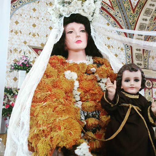 11895959_872635886145698_539282222816705269_n