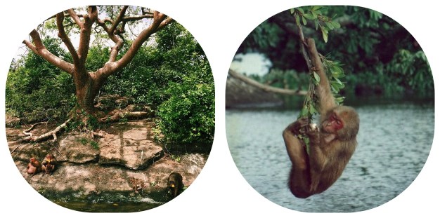 capture-20150817-205422-horz