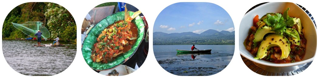 capture-20150818-184123-horz