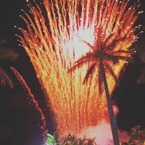 11987022_1610891609162693_1032706753478898586_n