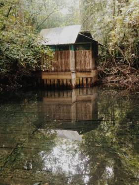 12046958_895744520501501_3654478000249163378_n