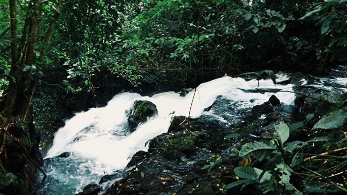 12400818_942643349144951_2025295031679586689_n