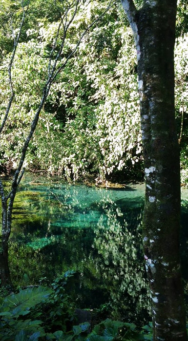 12508880_942641265811826_3301414697810412093_n