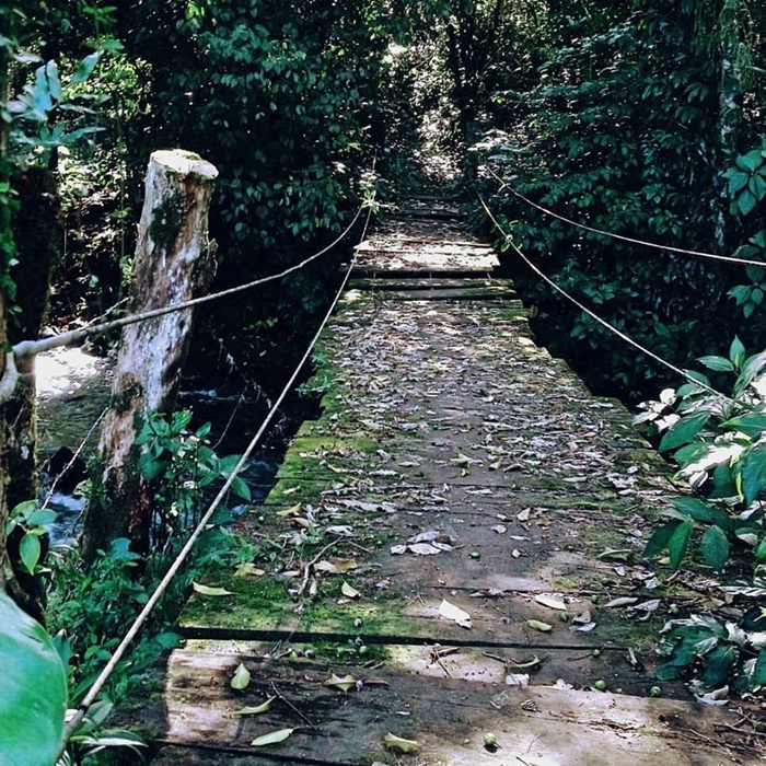 12540953_942643599144926_7673278872984202176_n