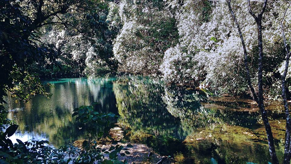 1927680_944837868941272_6566588403337575771_n