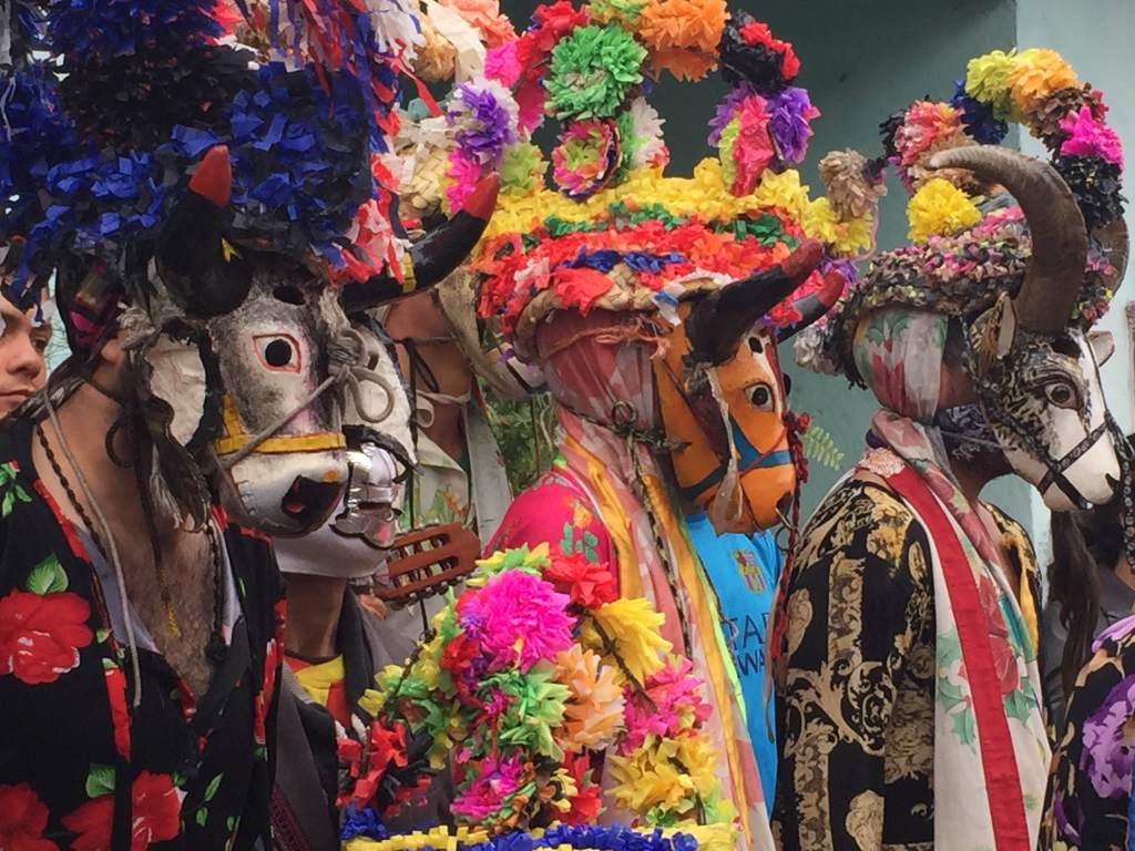 Carnavales Afromestizos de&nbsp;Veracruz