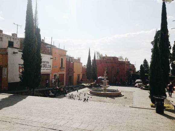 12801102_973294396079846_2442100269754272469_n