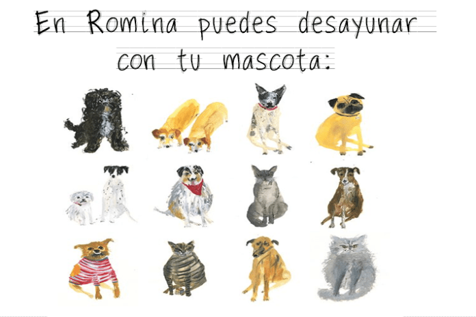 mascotas romina