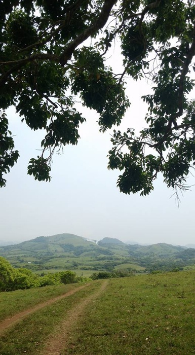 13151734_1010865665656052_5176595873662725350_n