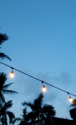 13227139_1018610961548189_7813436342739172120_n