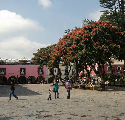 14433011_1109592352450049_3234672515838505547_n