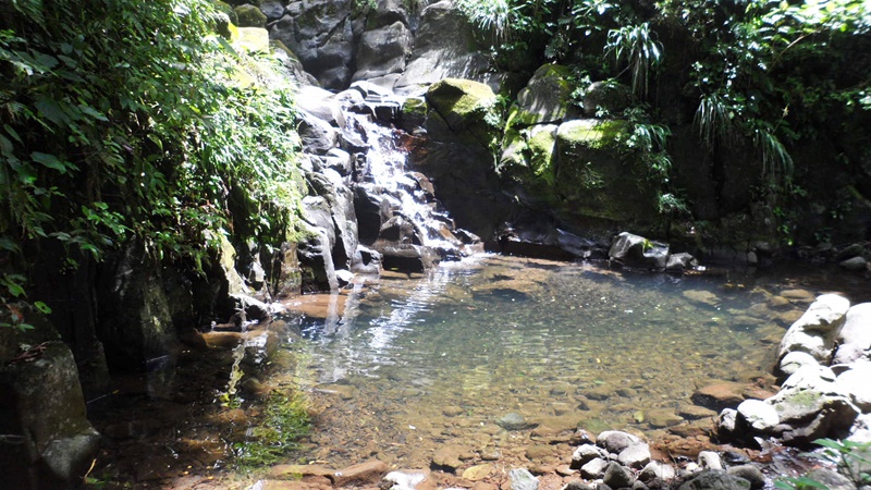 «La selva del&nbsp;Marinero»