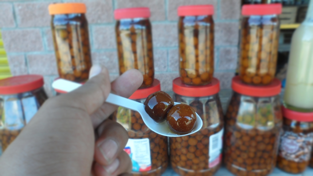 La ceiba una parada inevitable…