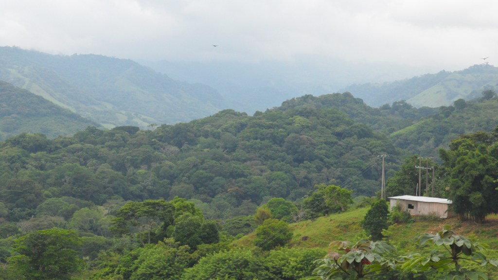 Benito Juárez la Reserva ecológica que el mundo debe&nbsp;conocer.