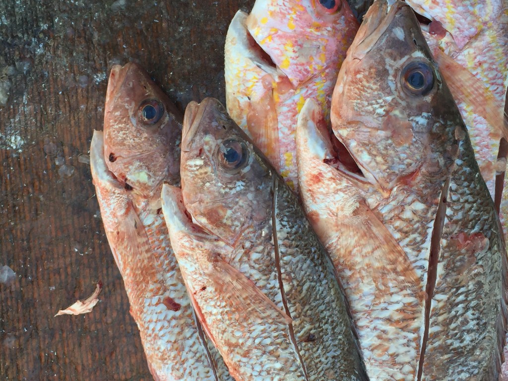 PESCA EN LAS BARRANCAS / DOS&nbsp;RESTAURANTE