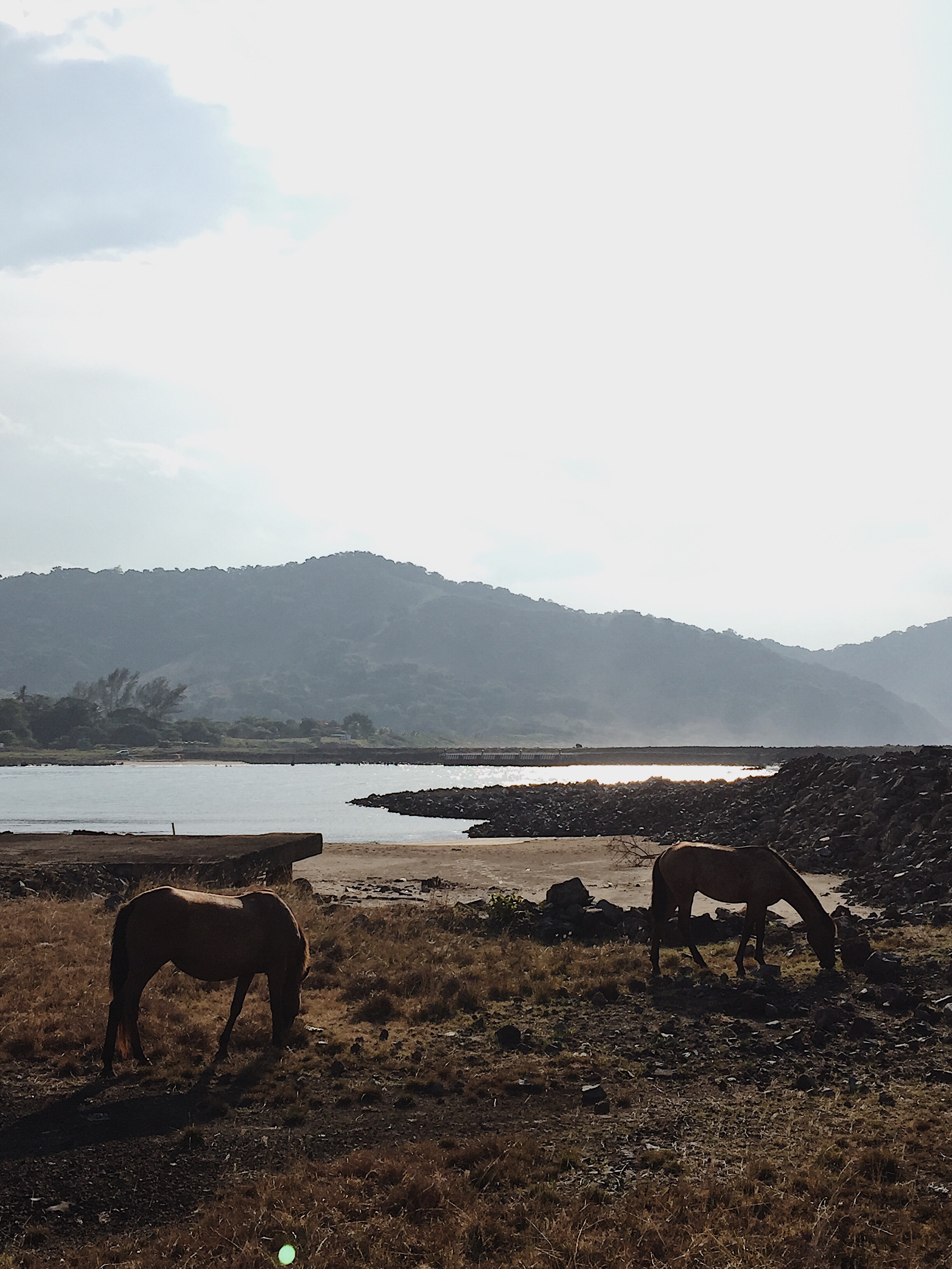 a88c9e3a-39d8-41a0-847c-36c42aee408b