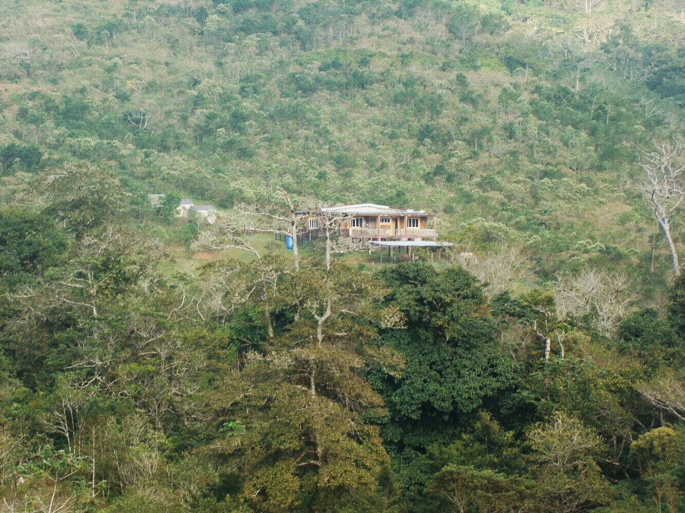 774a0ed2-e1b1-4d19-8680-0f7956ba78ca