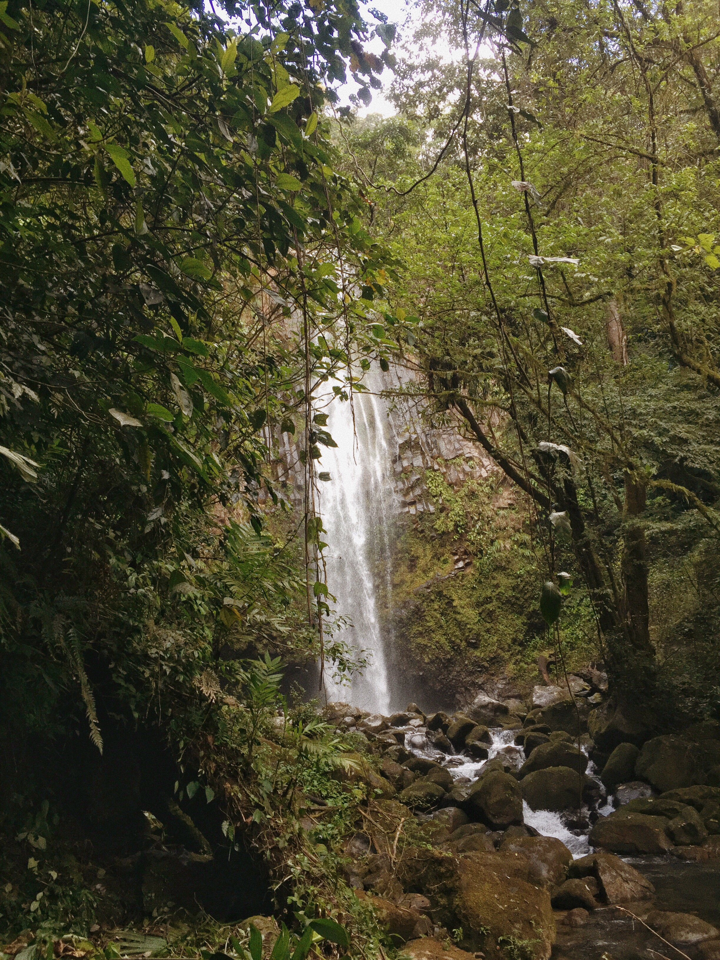 dc8f13a7-bae7-470d-a57b-8cfb79765d67